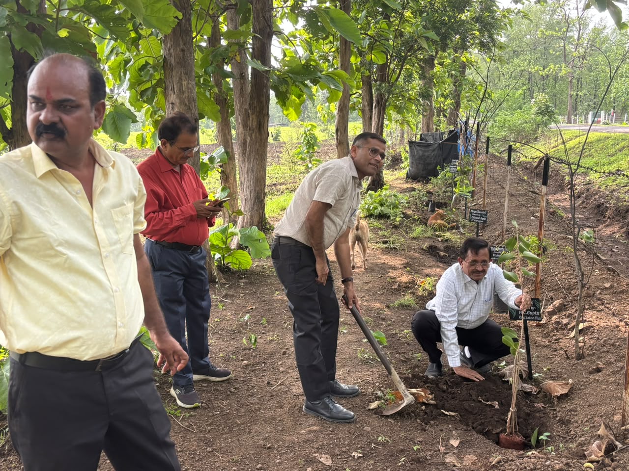 Friends and family planting saplings along the boundary